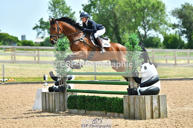 230609A-130328-01093 - Cls 3 Foxhunter