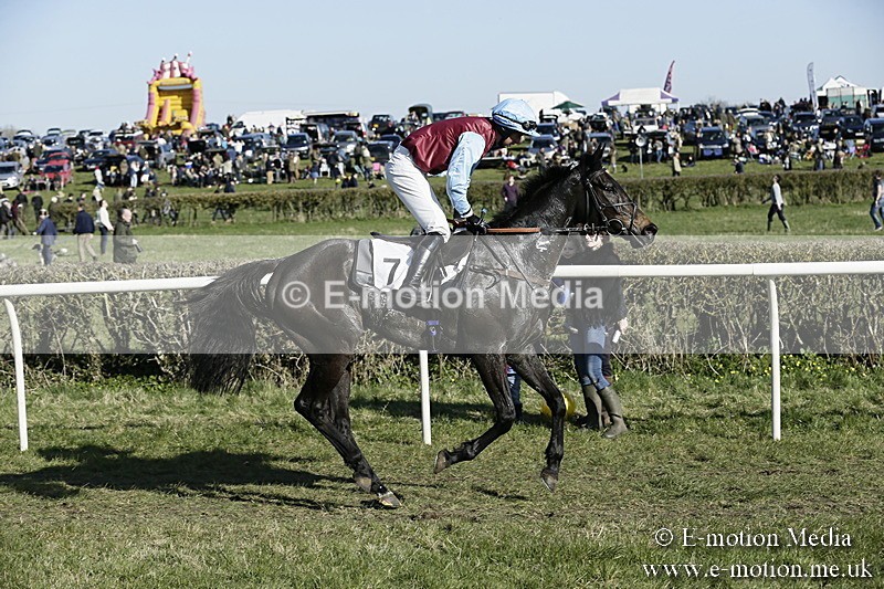 PtP 250317 313 - V.W.H. Hunt Point-to-Point Siddington 25/03/17