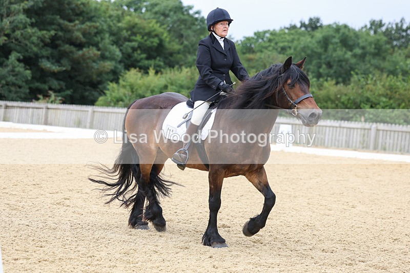 3E7A4713 - Class 1: Intro 4 2024 section A