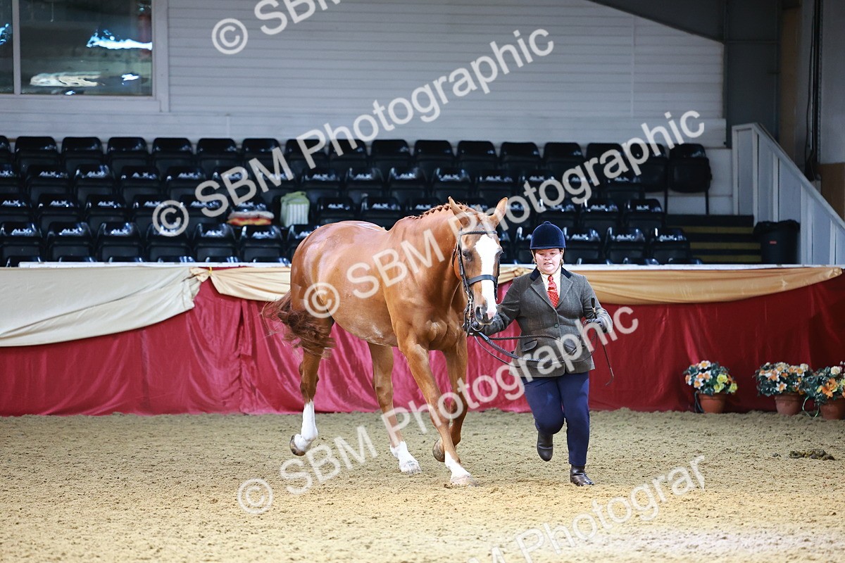 SBM_23090 - Class 903 - Supreme Final - IH Pre Vet