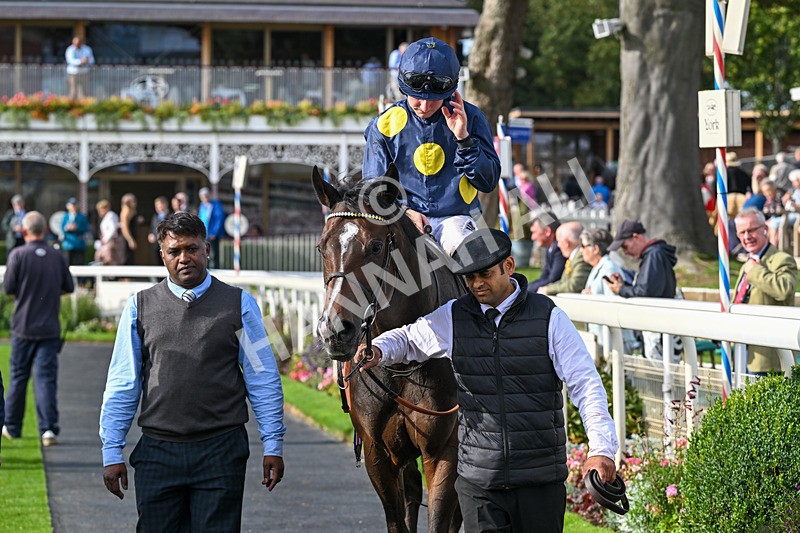 060926-Race 6-Power Fizz-8889 - Race 6 4.25pm Eboracum Security Handicap