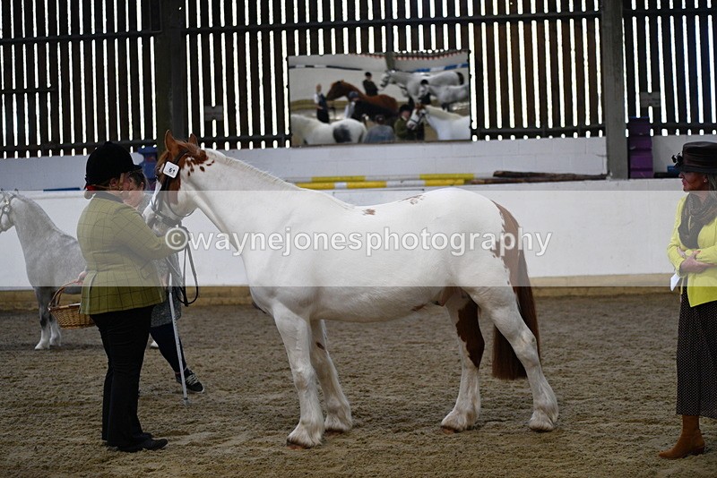 WJ5_3987 - Class 2 Best Condition In hand