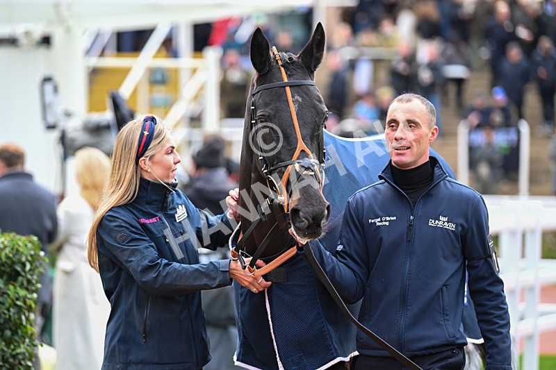 171124-Race 3-Paddock-Third Time Lucki-3086 - Race 3