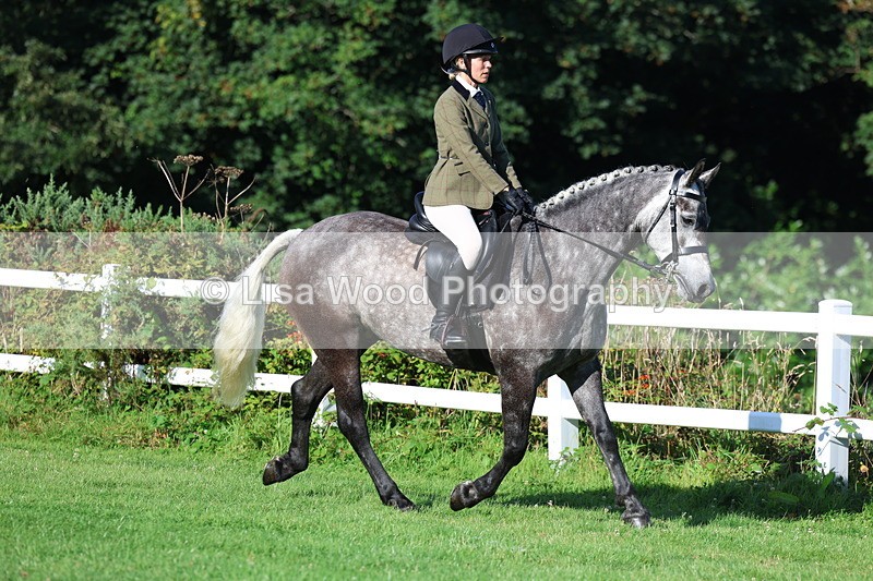 3E7A7558 - Class 1: Novice Working Hunter Pony