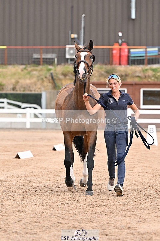 250716-151950-01875 - Trot Up 2.30 to 3.30