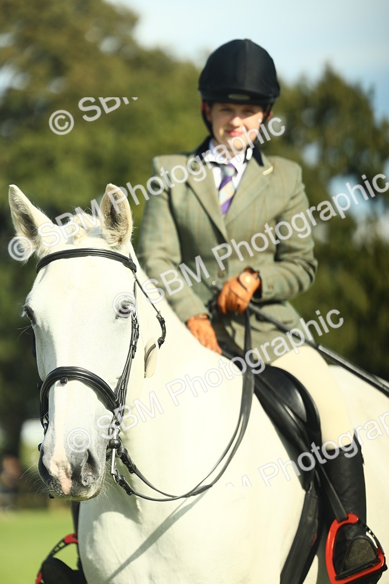 SBM_49882 - S32 - Novice & Newcomers Working Hunter