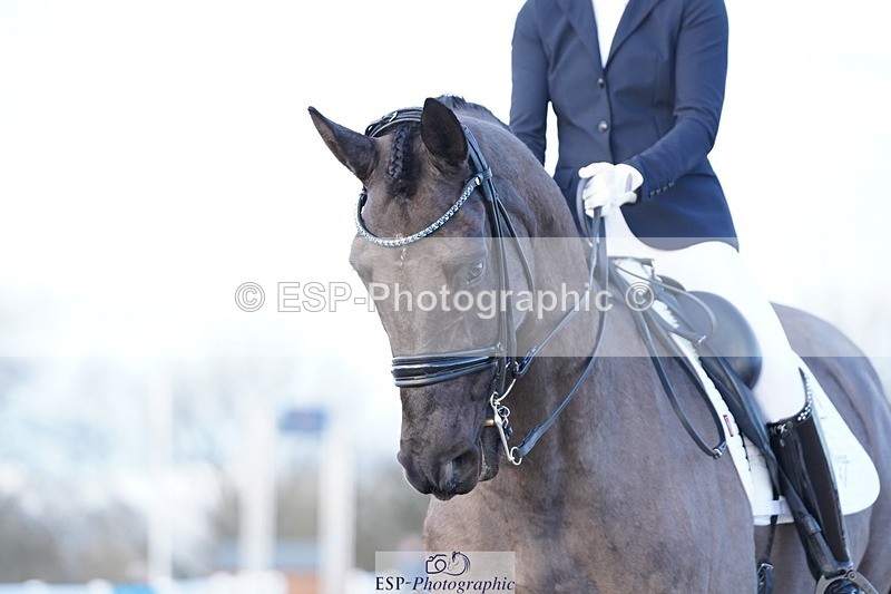 241214-155618-02286 - 139-Holly.Kerslake-Platinum.Cabachon