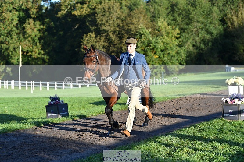 231022-091146-21608 - 609-WHAT.A.WONDER-Harry.Robinson-TrotUp+SJ