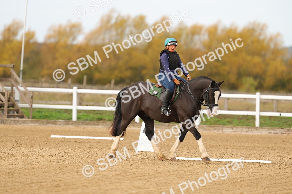 SBM_001015 - Class 13-4-9 - DR P3 CT P3 70cm CT PYO