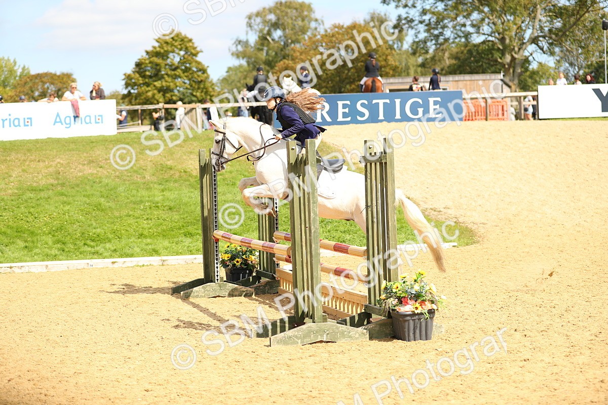 SBM_66041 - J17 - Junior Pony 80cm Championship