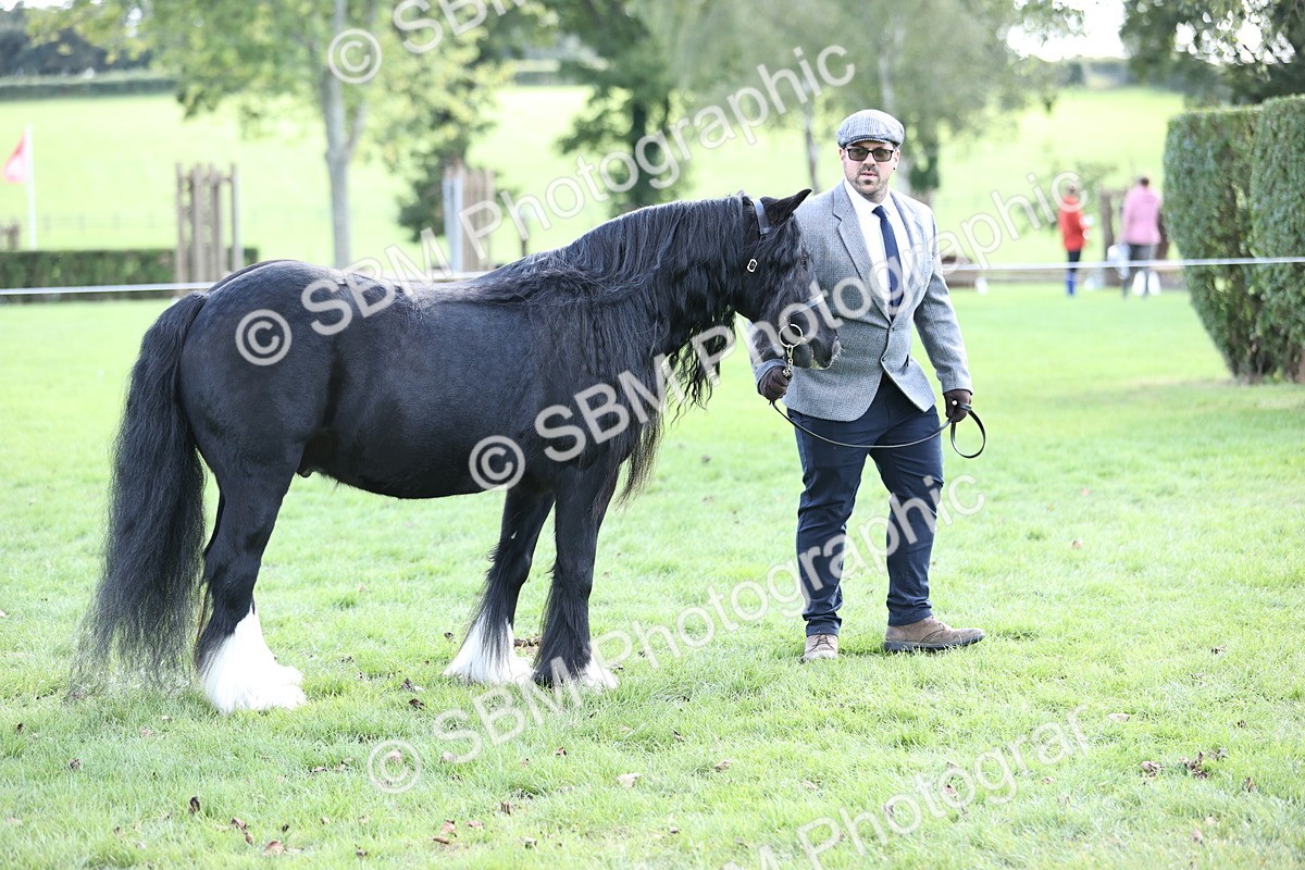 SBM_26252 - S5 - Novice & Newcomers In Hand