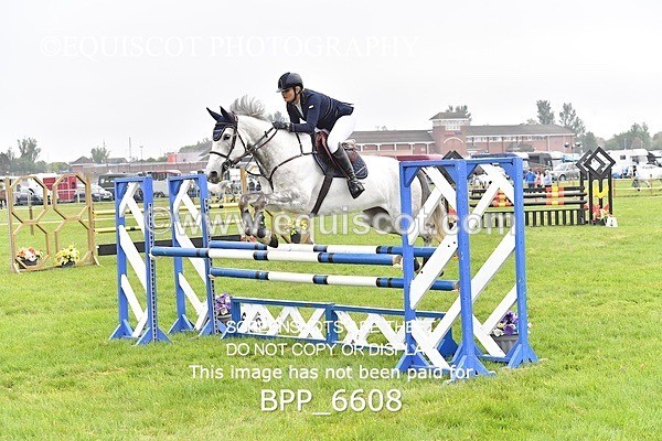 BPP_6608 - CLASS 1 Senior Newcomers/ 1.10m Open