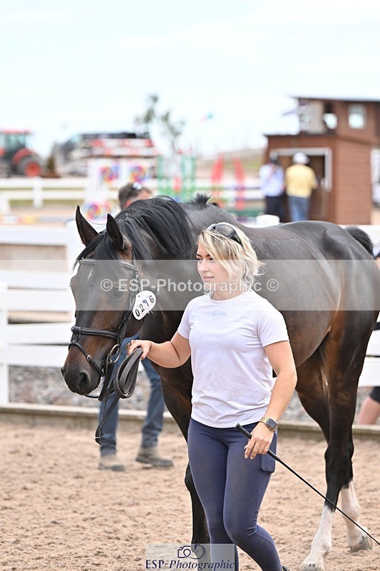 250716-135920-00844 - Trot Up 1.30 to 2.30