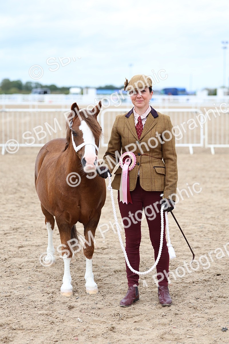 SBM_05988 - Class 29 - IH Veteran Pony