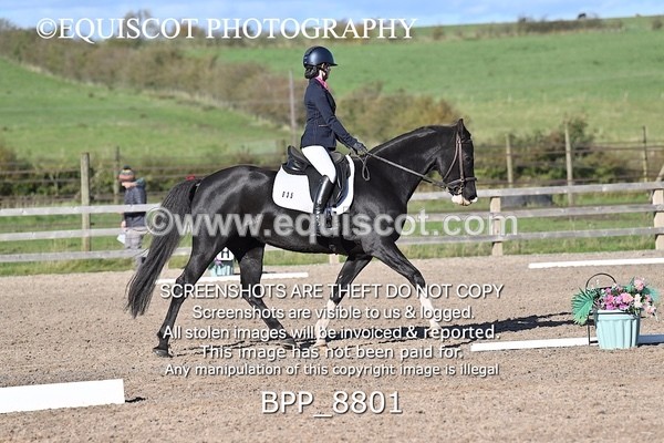 BPP_8801 - SHORT ARENA