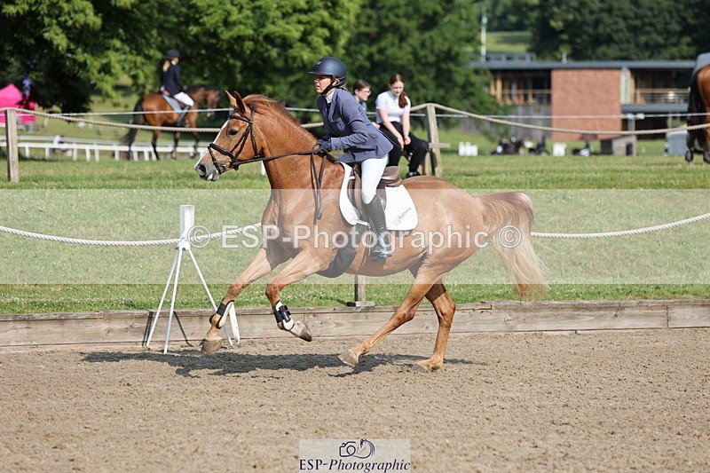 250614A-085854-04773 - Cls 25 85cm Amateur Quali