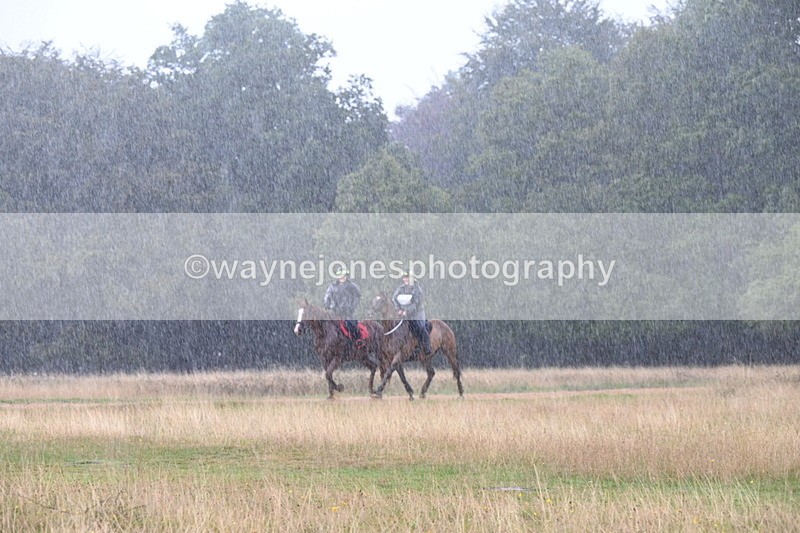 DSC_3066 - Time at Statue 12:59 to 13:49