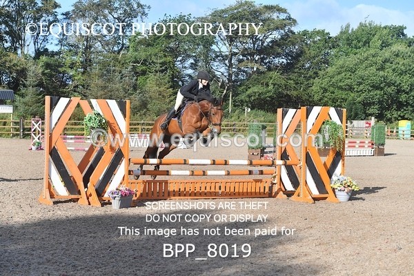 BPP_8019 - CLASS 31 SUN Club/ Unaffiliated 80cms Open