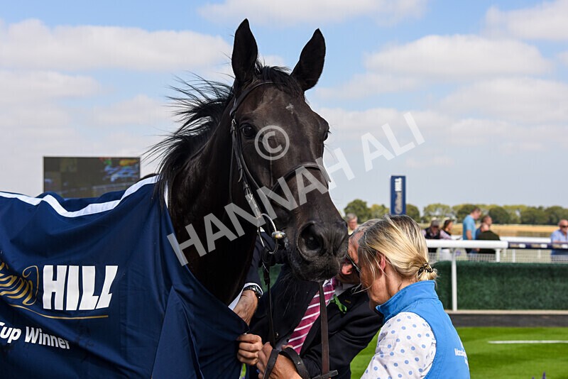 310824-Race 1-Quietness-2601 - Race 1