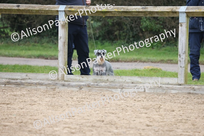 20260308-0475 - Class 2 - 70cm