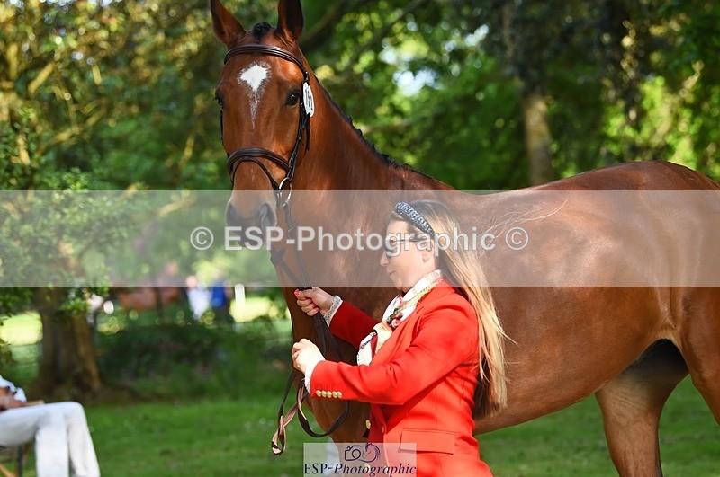 230524-170420-01273 - 152-RENKUM_JITTERBUG-Phoebe_Locke-WEDTrotUp+DR