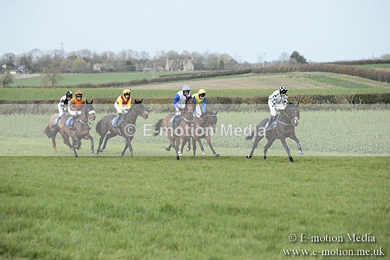 PtP 230319 241 - VWH Hunt Siddington Point-to-Point Racing 23/03/19