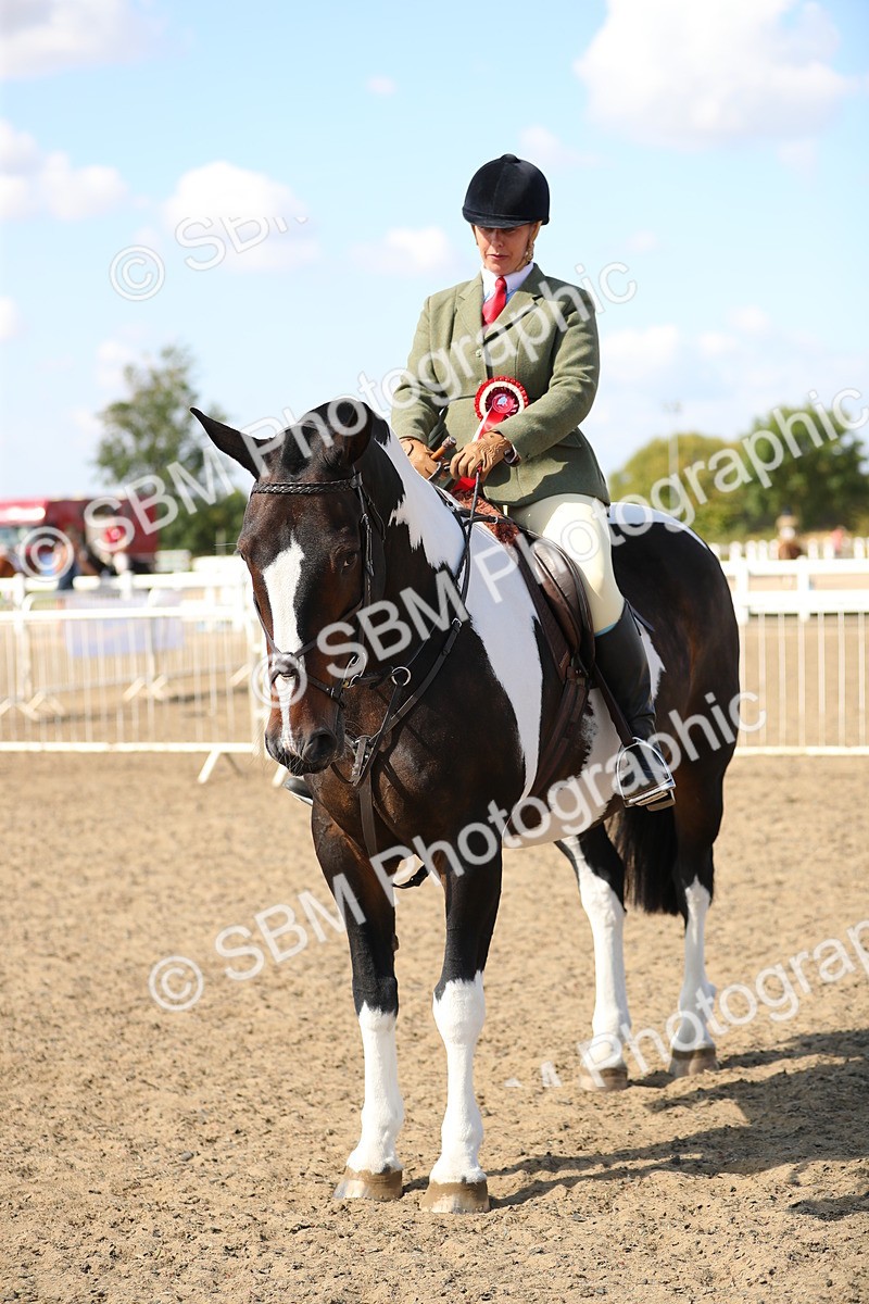 SBM_03267 - Class 44 Riding Club Horse/ Pony
