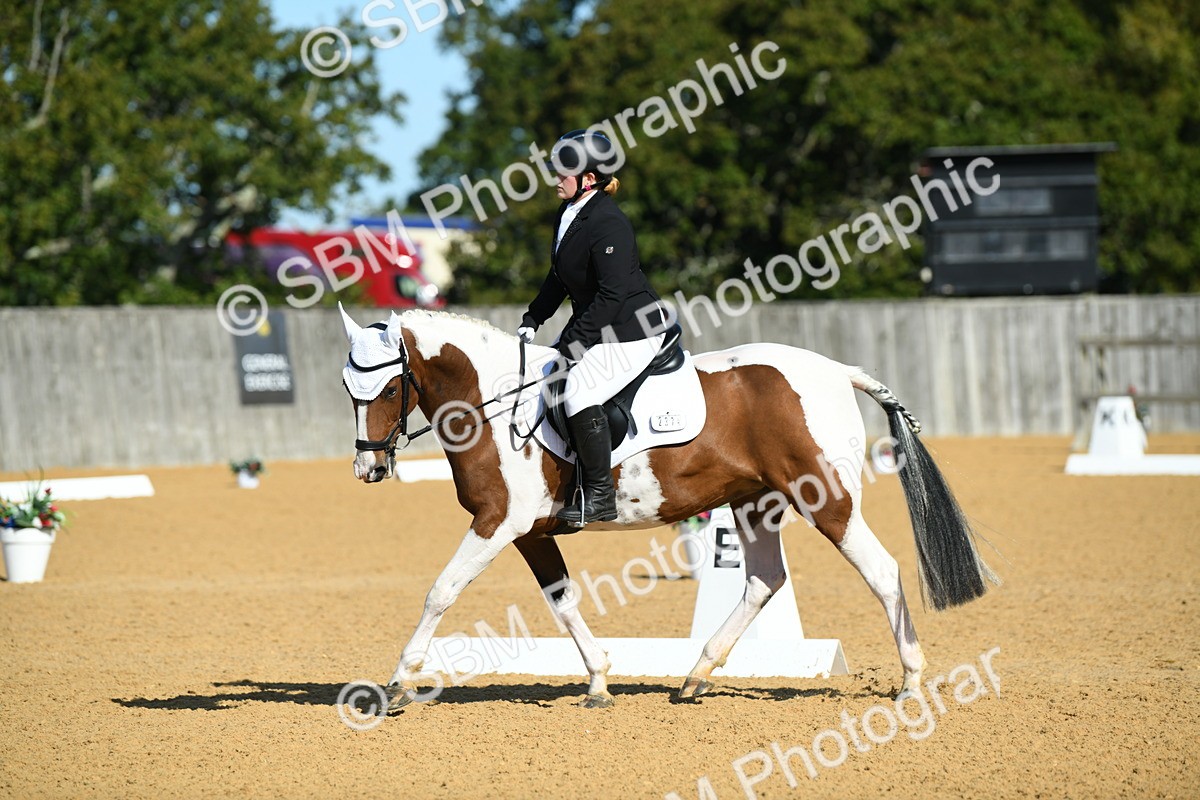 SBM_17915 - D4 - Small Tour Championship - Intro B