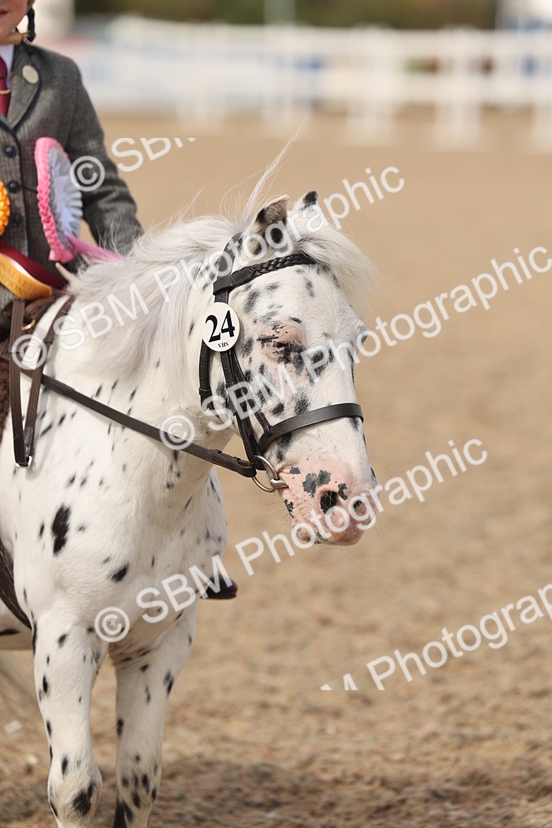 SBM_15935 - Class 310 - First Ridden Pony