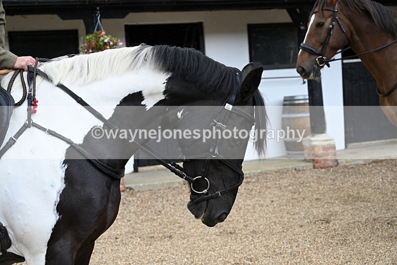 WJ7_6897 - Berks & Bucks at Blandy’s Farm 31-08-25