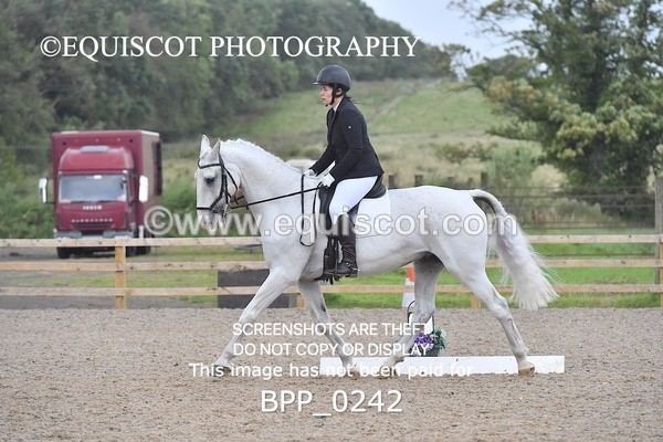 BPP_0242 - ELEM 6 & 4