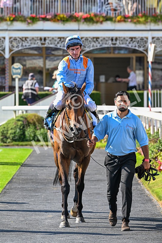 100726-Race 6-Ziggys Triton-0768 - Race 6 17.05pm William Hill Keep Your Raceday Positive Handicap