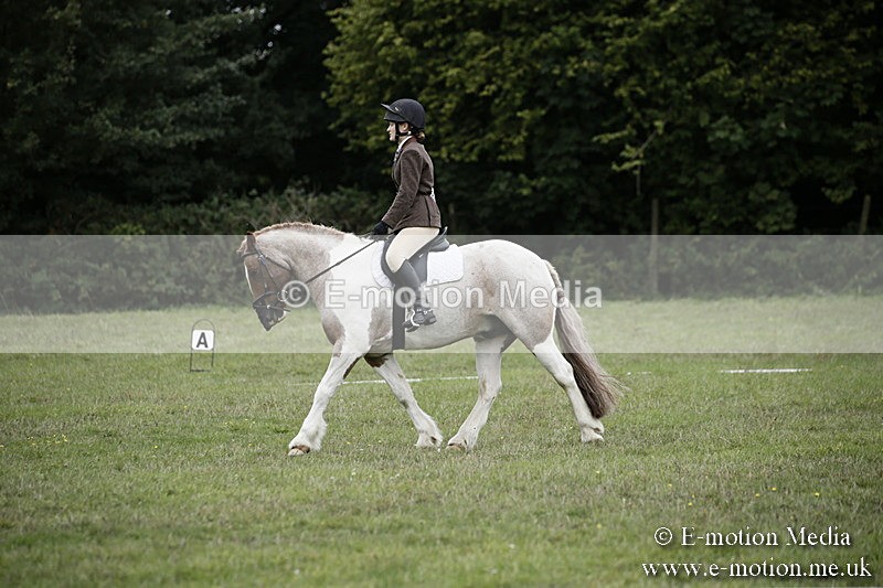 BVR080918 13 - BVRC Novice Dressage & CR 08/09/18