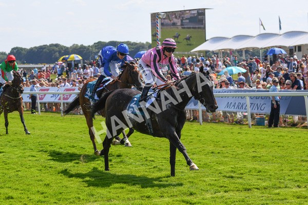 160623-Race 4-Chichester-0488 - Race 4 3.35pm Seat Unique Ganton Stakes