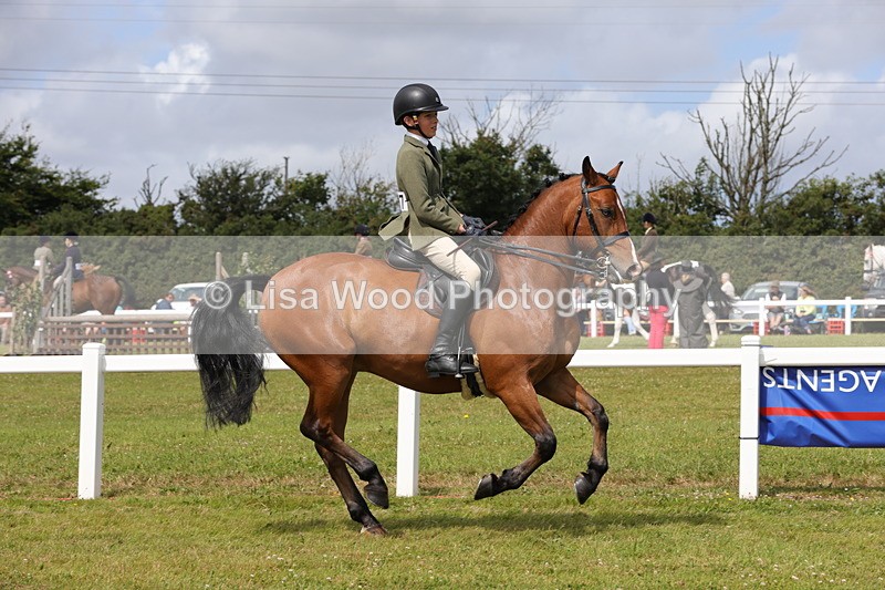 1X9A4004 - Class 32: Show Hunter Pony 153cm and under