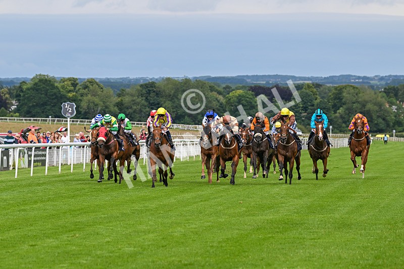 160724-Race 4-Jack Of Clubs-8963 - Race 4