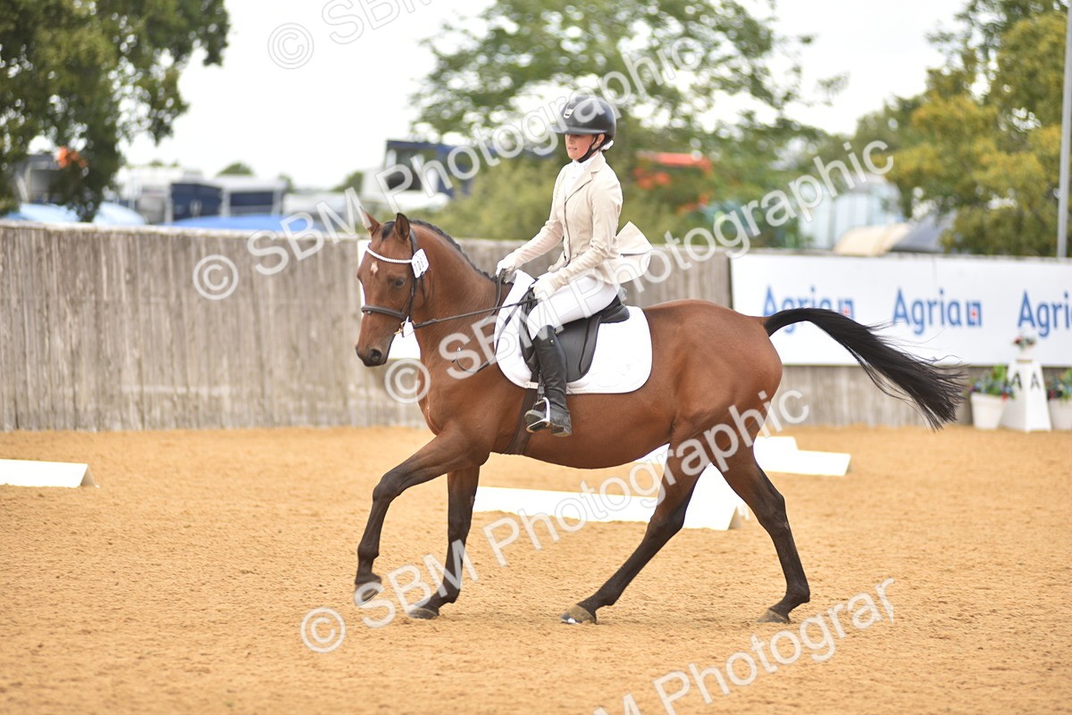 SBM_22309 - D13 - Grand Tour Championship Prelim 3