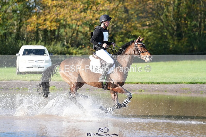 251024A-112025-07198 - A-017-Harrison.Chart