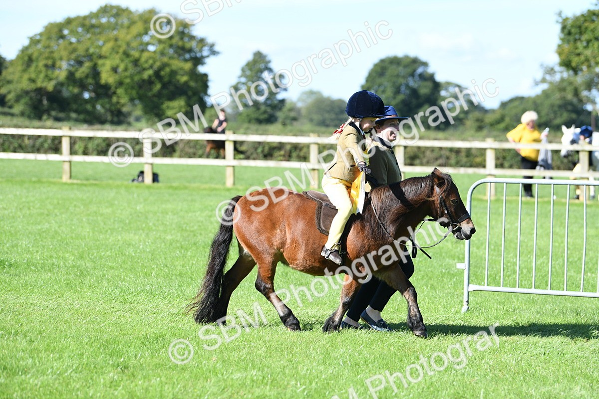 SBM_37118 - S18 - Novice & Newcomers Lead Rein Pony