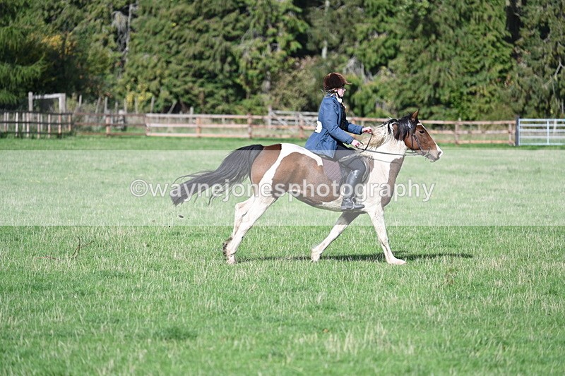 WJ7_7801 - Time 10:30 to 11:38