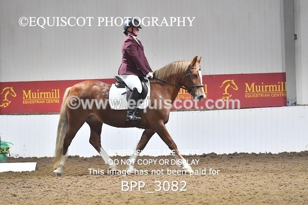 BPP_3082 - INTRO TEST 2