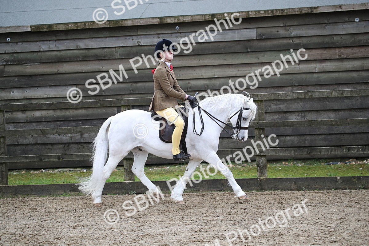 SBM_005909 - Class 10-13 - RIHS Small Large Breeds
