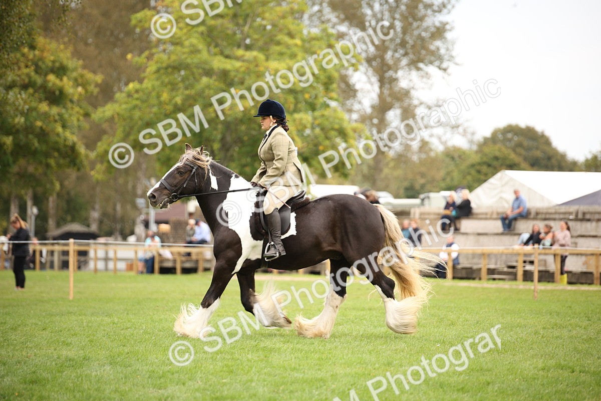 SBM_73503 - S68 - Traditional Cob Ridden