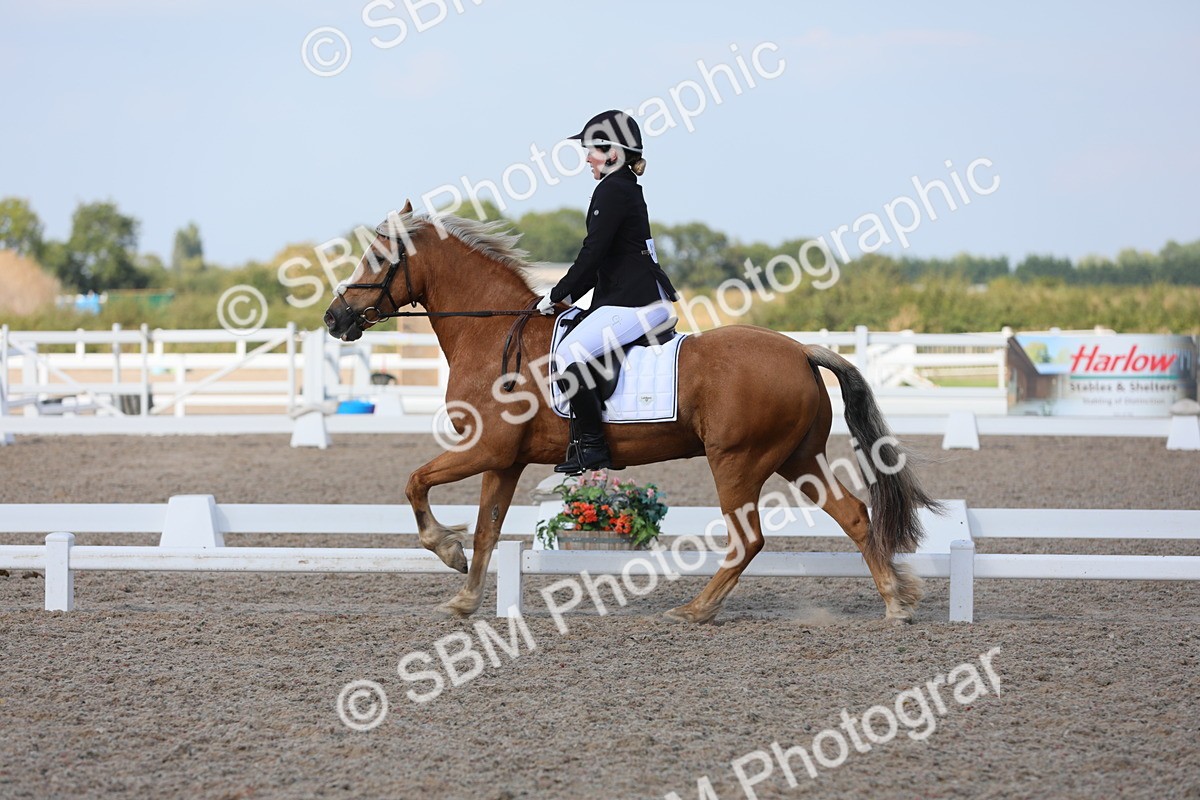 SBM_07742 - Class 33 Elementary 1