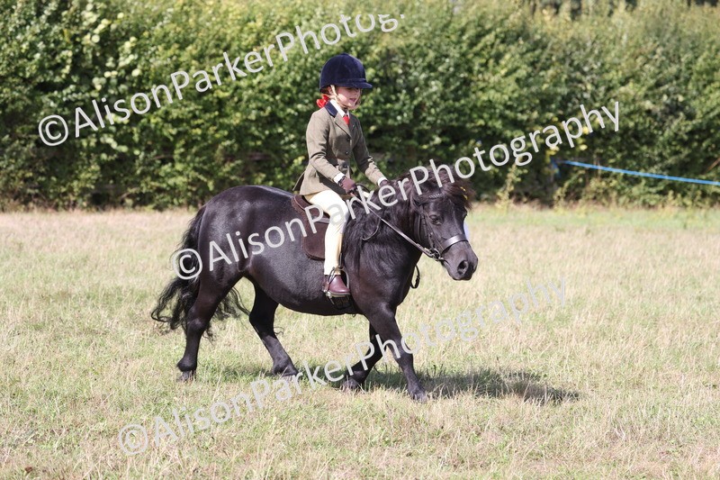20260906-3123 - Class 18 - Childs First Pony