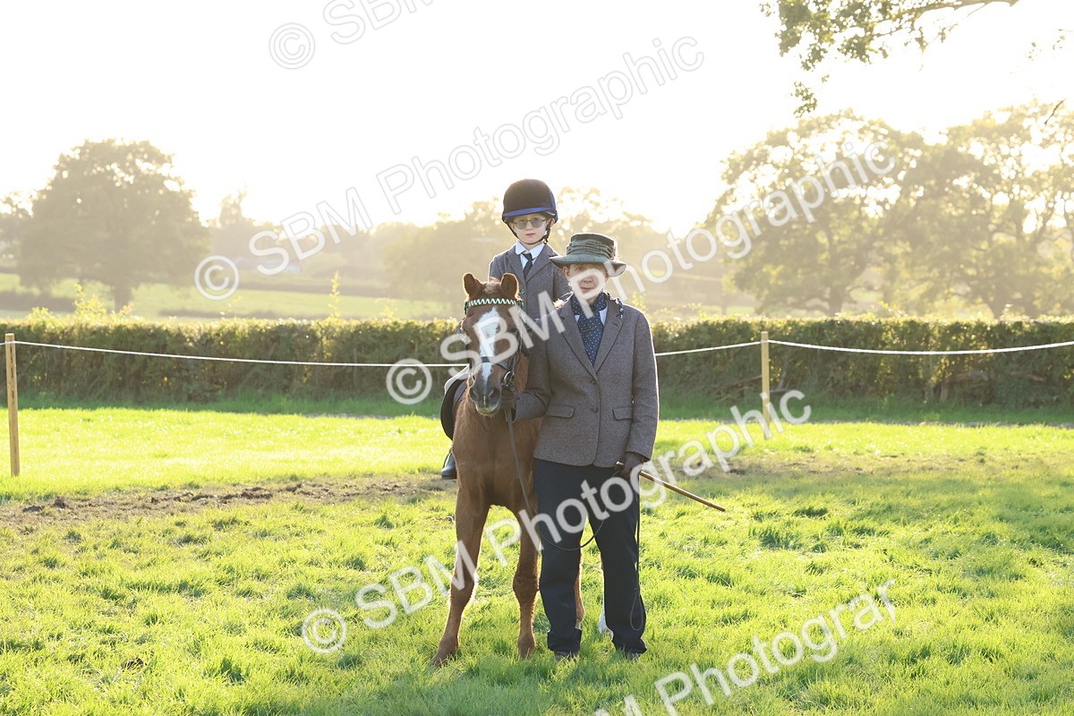 SBM_53084 - S29 - Mature Veteran Ridden