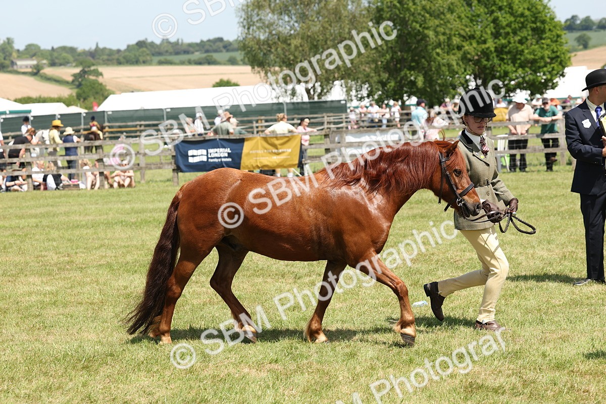 SBM_06858 - Class 26-30 - Mountain and Moorland Ridden