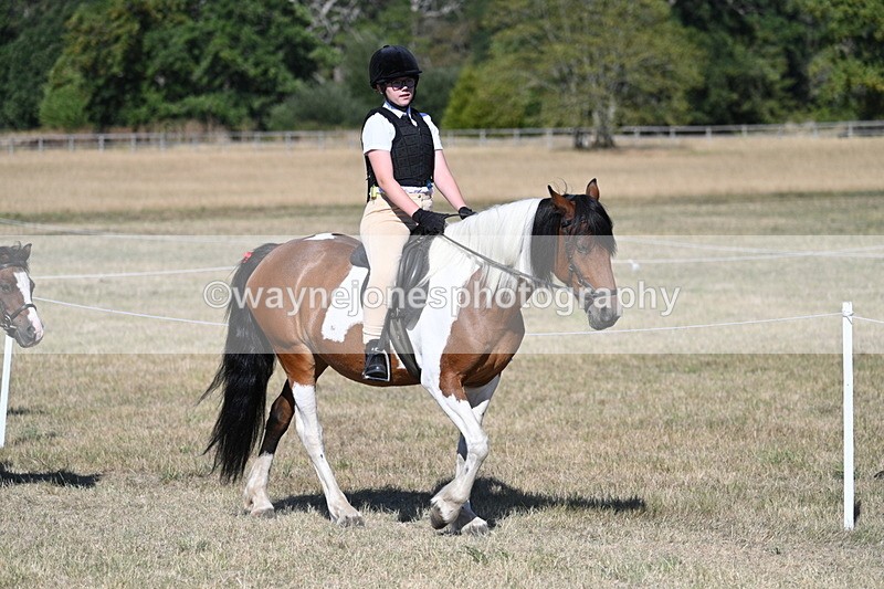 WJ7_2023 - Class 44 Child's Best Friend