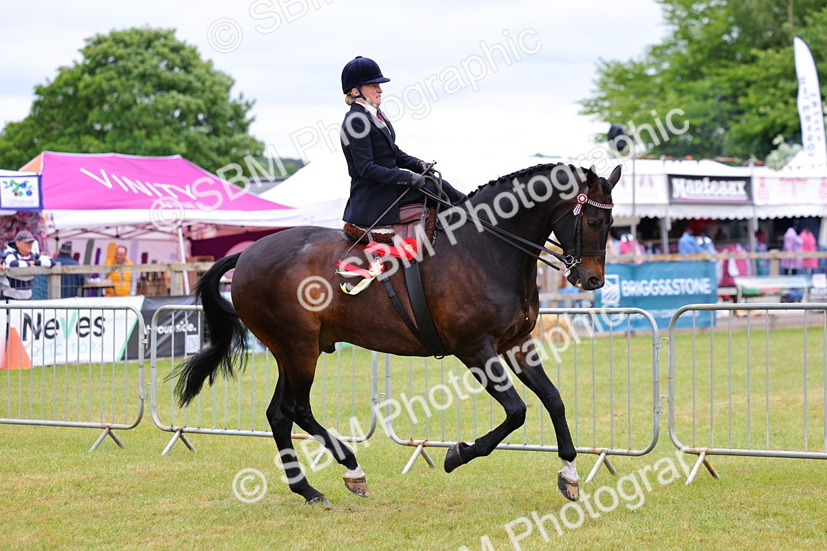 SBM_02880 - Class 9-11 Side Saddle including LIHS Rising Star Ladies Show Horse