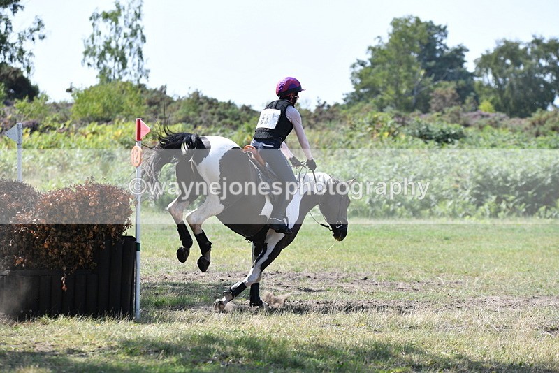 WJ5_3240 - XC Time 13:03 to 13:28